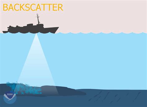 what is backscatter